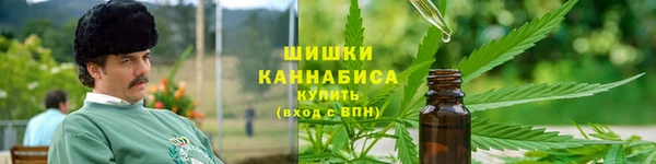 apvp Пестово