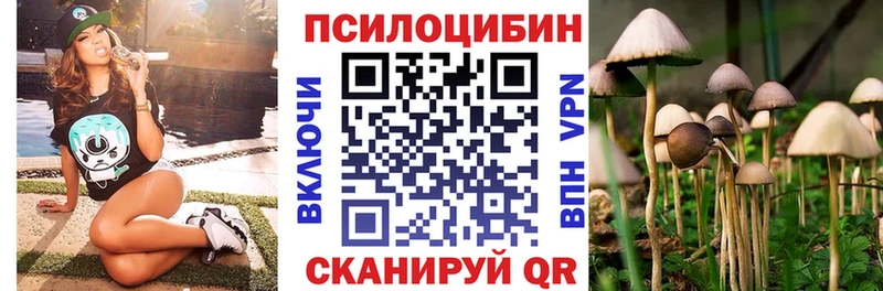 Купить где  Болхов  Галлюциногенные грибы GOLDEN TEACHER 